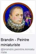 banniere_portrait_miniature_brandin