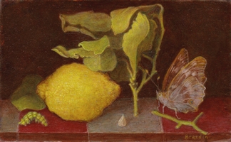 Nature morte au citron avec feuilles ppin chenille et papillon