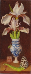 Nature morte avec iris blanc et papillon