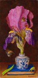 nature morte  l iris