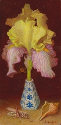 Peinture d'un iris blanc et trois cerises