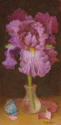 Peinture d'un iris blanc et trois cerises