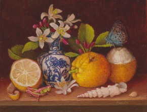 Nature morte avec iris blanc et papillon