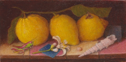 Nature morte peinture à l'huile classique avec trois citrons, un coquillage et une sauterelle verte et rose