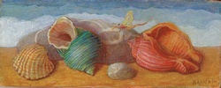 Nature morte de coquillages et insecte