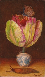 Nature morte  la tulipe perroquet dans un flacon