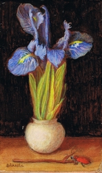 iris bleu dans un flacon de porcelaine blanche