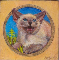 Portrait miniature de chat balinais gris aux yeux bleus