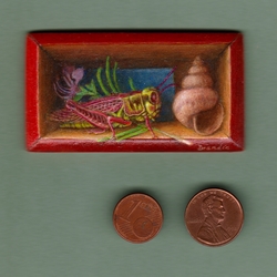 Peinture en trompe l'oeil, sauterelle dans une boite