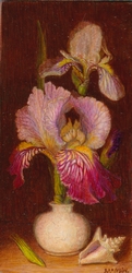 Nature morte avec iris et coquillage
