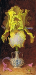 Iris dans un flacon entouré par un ruban rose